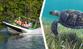 Jungle Speedboat and Snorkeling in Cancun